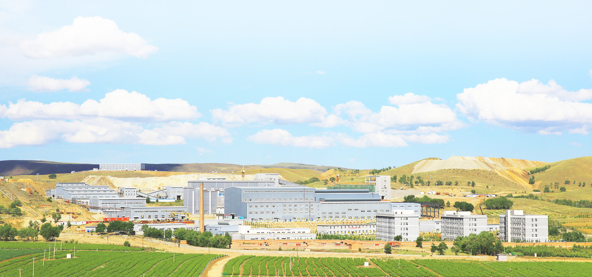 实现企业生长，，，，，成绩员工价值，，，，，践行社会责任。。。。。